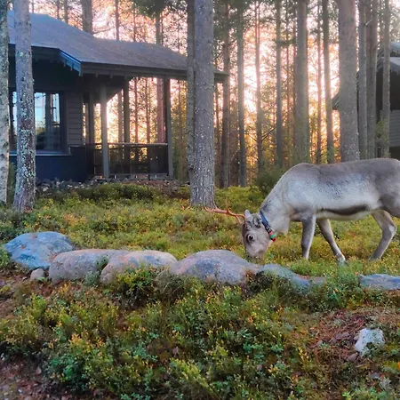 Tunturipoelloe 1 * Ruka