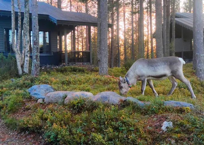 Tunturipoelloe 1 * Ruka